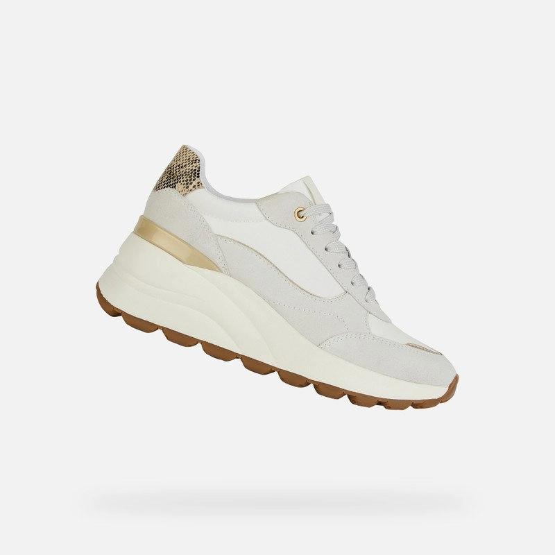 spherica ec11 donna